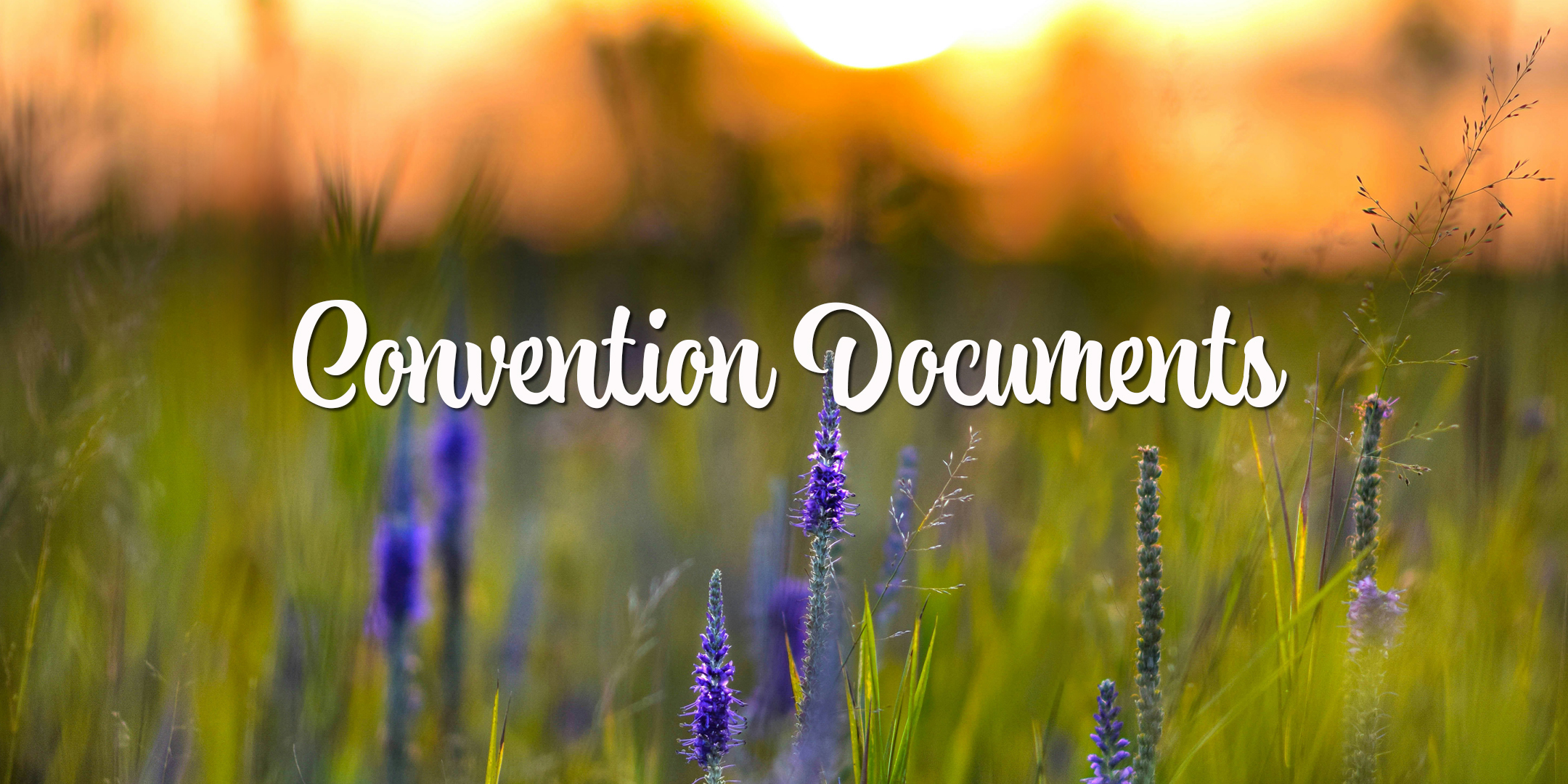 Convention Documents