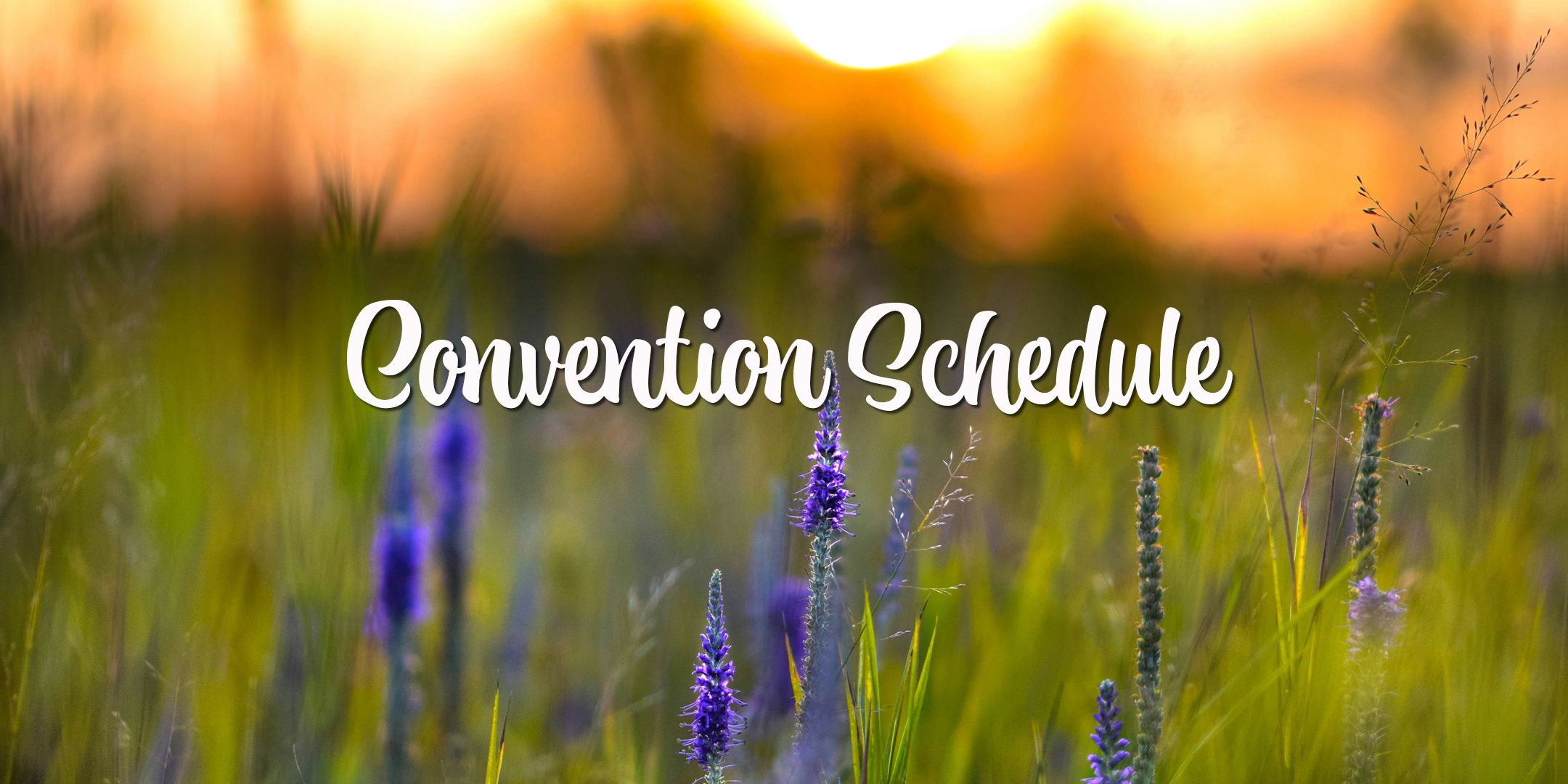 Convention Schedule