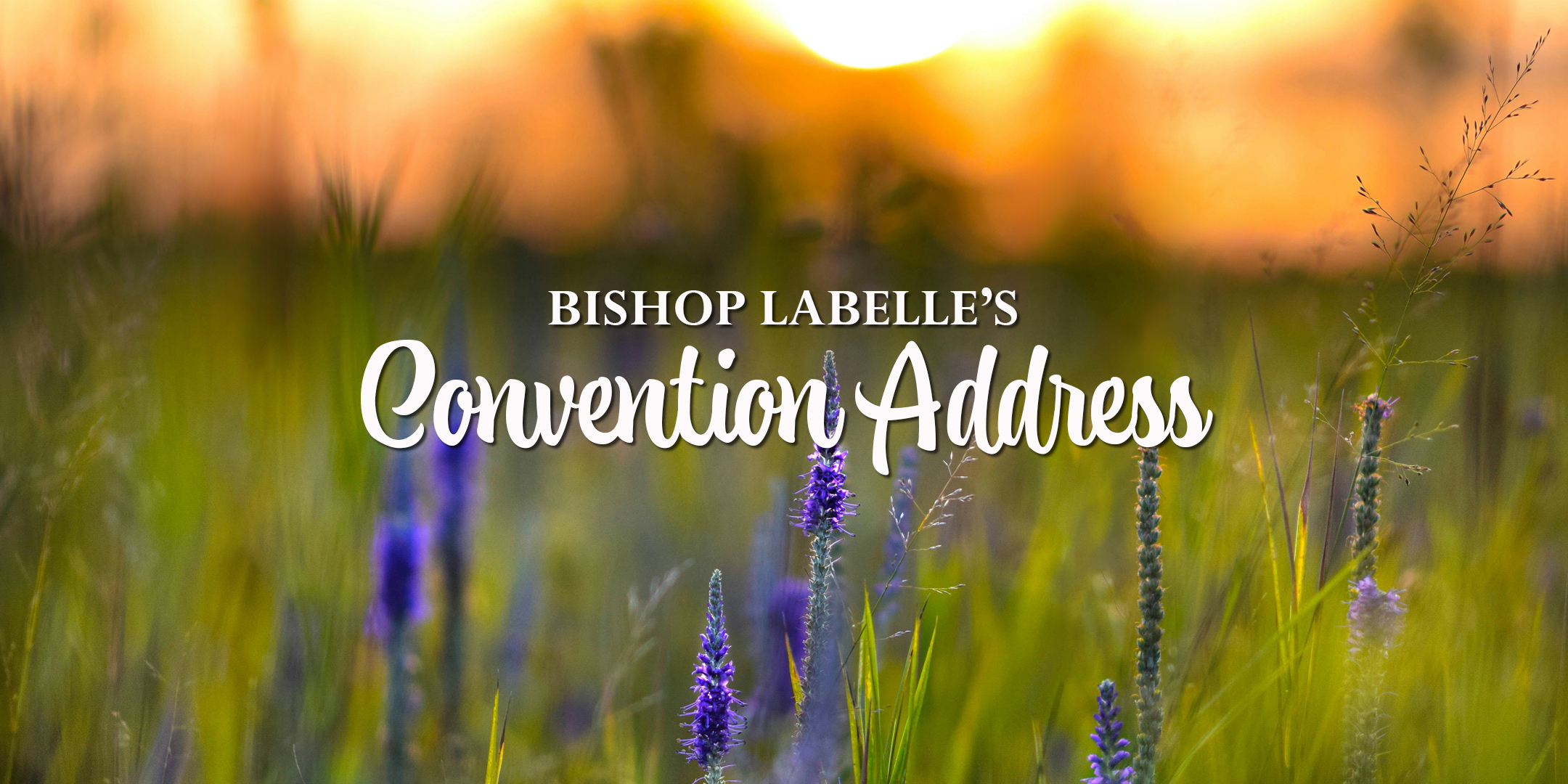 Bishop LaBelle's Convention Address