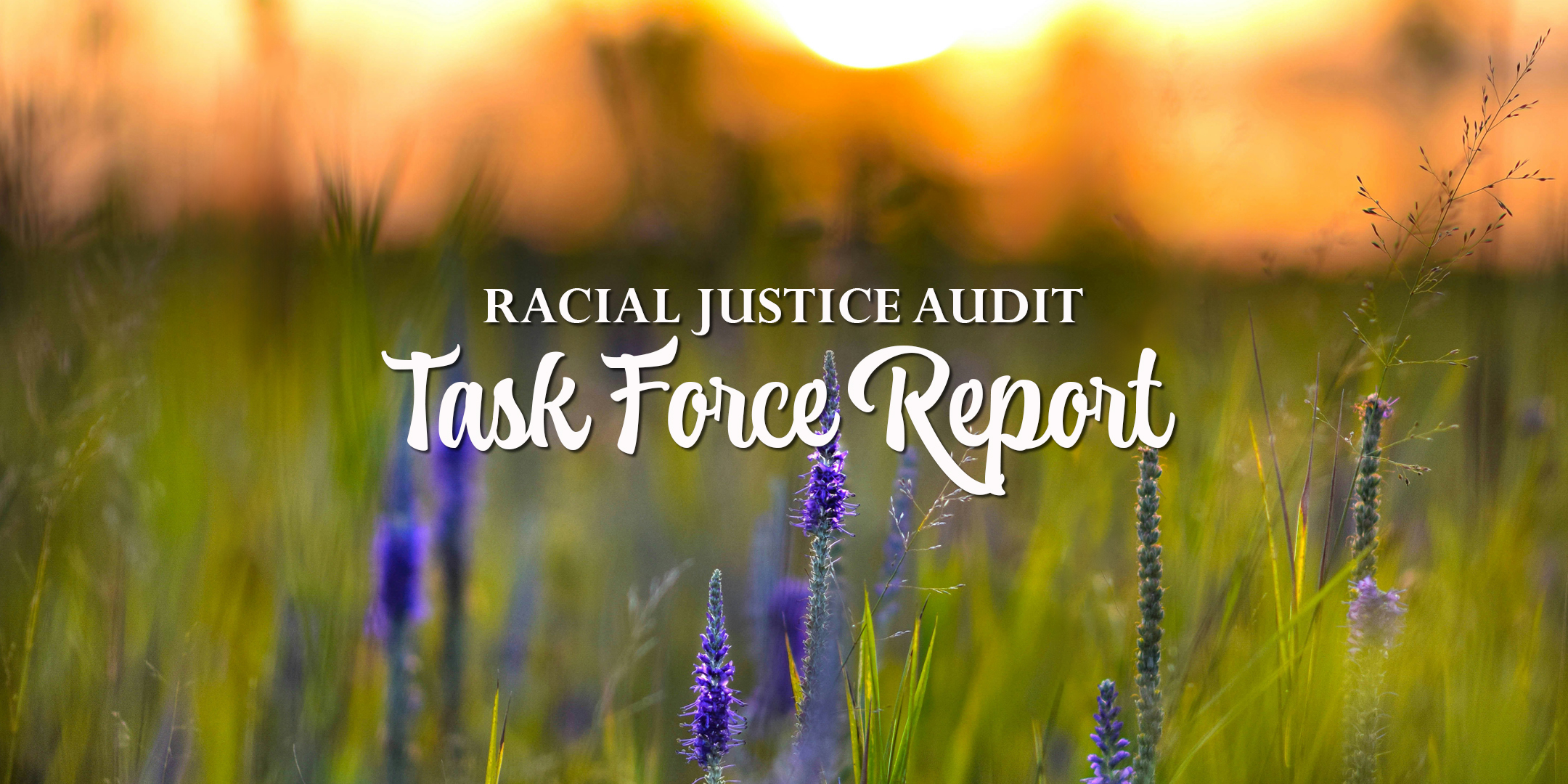 2024 Racial Justice Audit Task Force Report